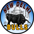 New Delhi Bulls