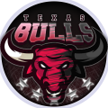 Texas Bulls