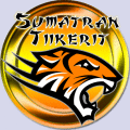 Sumatran Tiikerit